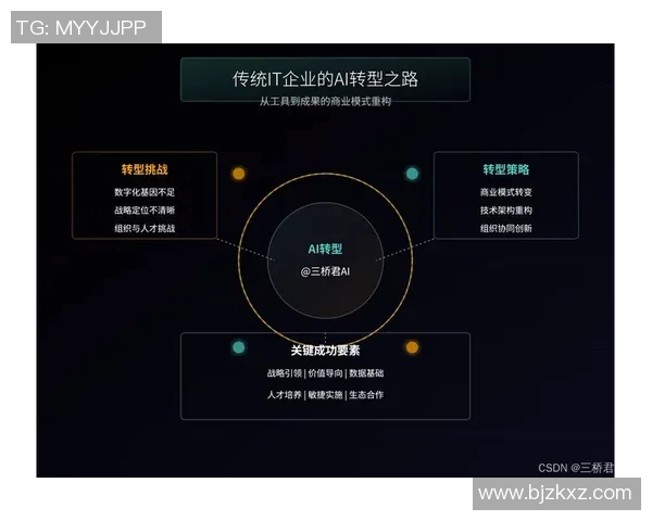 广州篮球队转型之路的真实记录与背后故事探寻