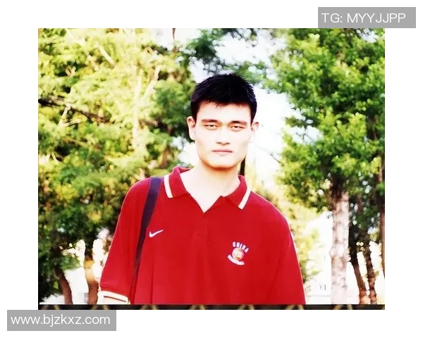 许诺身高姚明的传奇故事与篮球梦想的追逐之旅
